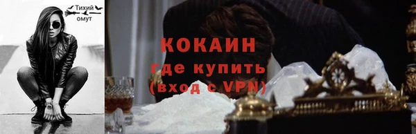 трава Сатка