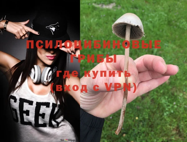 МДМА Богородицк