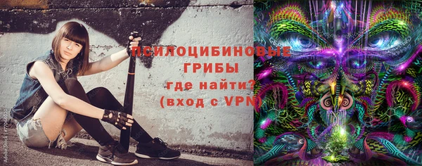 МДПВ Бугульма